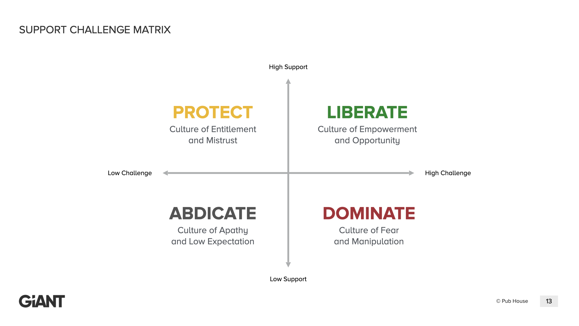 The Support/Challenge Matrix — Protect, Liberate, Abdicate, and Dominate quadrants
